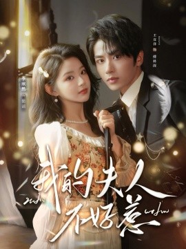 我的夫人不好惹 你好，我的旅長夫人(全集)