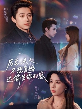厲總，夫人不想復(fù)婚還偷生你的崽(全集)