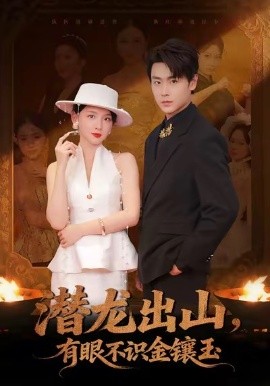潛龍出山有眼不識(shí)金鑲玉(全集)