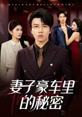 妻子豪車?yán)锏拿孛?全集)