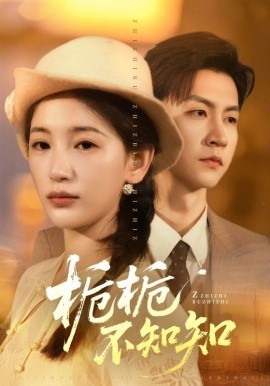 梔梔不知知(全集)