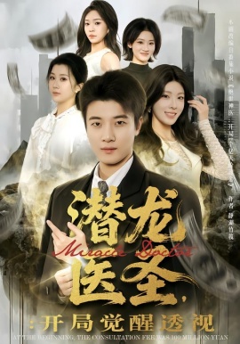 潛龍醫(yī)圣，開局覺醒透視(全集)