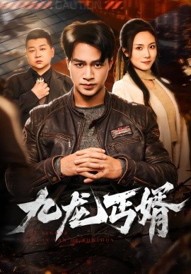 九龍丐婿(全集)