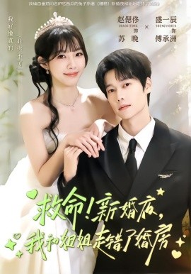 救命！新婚夜，我和姐姐走錯了婚房(全集)