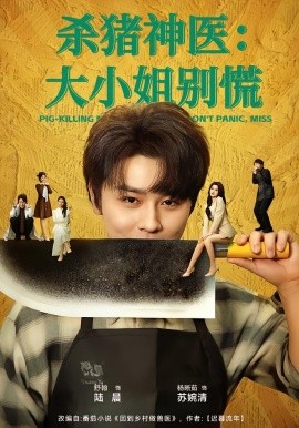殺豬神醫(yī)，大小姐別慌(全集)
