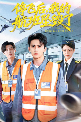 停飛后，我的航班墜毀了(全集)