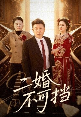 二婚不可擋(全集)