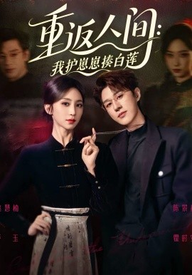 重返人間：我護(hù)崽崽揍白蓮(全集)
