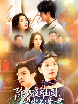 除夕夜難圓，歲歲不逢君(全集)