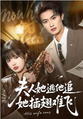 夫人她逃他追，她插翅難飛(全集)
