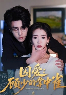 囚愛(ài)：顧少的掌中雀(全集)