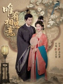 唯有相思意第035集