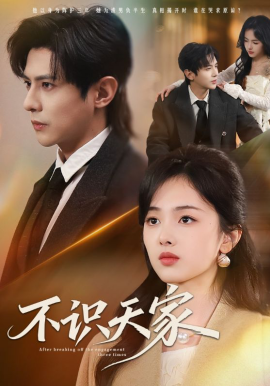 不識天家(全集)
