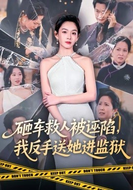 砸車救人被誣陷，我反手送她進(jìn)監(jiān)獄(全集)
