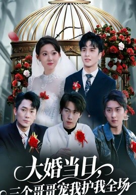 大婚當(dāng)日，三個(gè)哥哥寵我護(hù)我全場(全集)