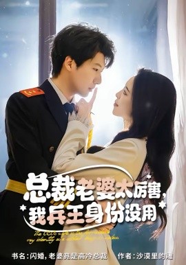 總裁老婆太厲害，我兵王身份沒用(全集)