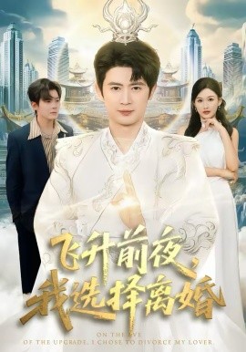 飛升前夜，我選擇離婚(全集)