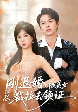 剛退婚，被美女總裁拉去領(lǐng)證(全集)