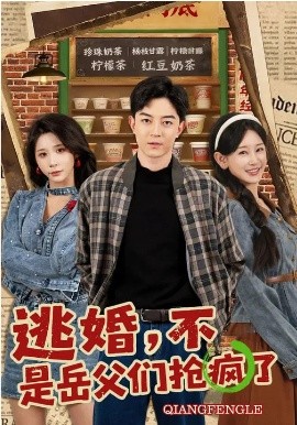 逃婚，不，是岳父?jìng)儞尟偭?全集)