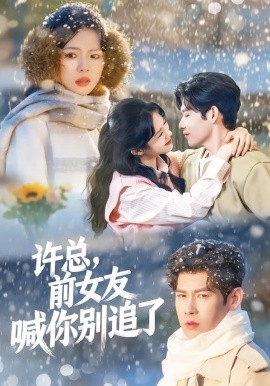 許總，前女友喊你別追了(全集)