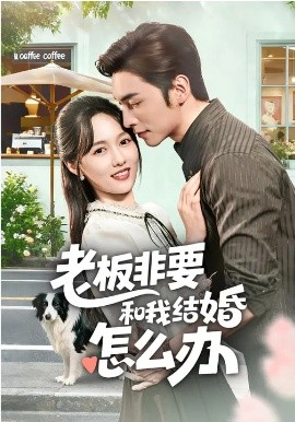 老板非要和我結(jié)婚怎么辦(全集)
