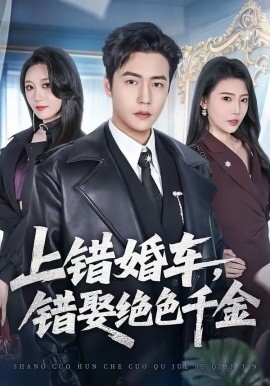 上錯婚車，錯娶絕色千金(全集)