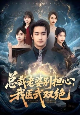 總裁老婆別擔(dān)心，我醫(yī)武雙絕(全集)