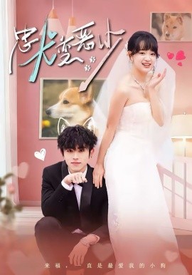 驚！我家來福變惡少了 忠犬變惡少(全集)