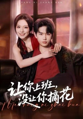 讓你上班，沒(méi)讓你摘花(全集)