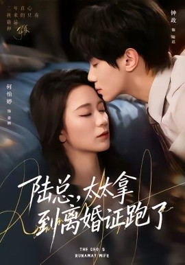 陸總，太太拿到離婚證跑了(全集)
