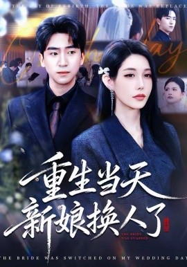 重生當天新娘換人了(全集)