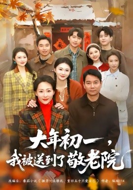 大年初一，我被送到了敬老院(全集)