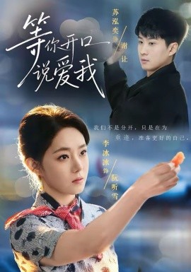 等你開口說愛我(全集)