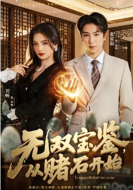 無雙寶鑒，從賭石開始(全集)