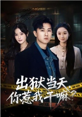 出獄當(dāng)天，你惹我干嘛？(全集)