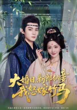 大婚日，新郎納妾我怒嫁竹馬(全集)