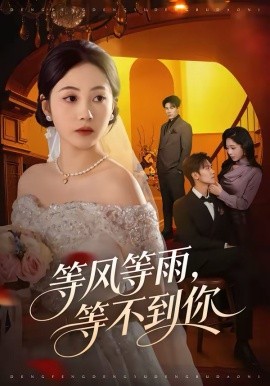 等風(fēng)等雨，等不到你(全集)