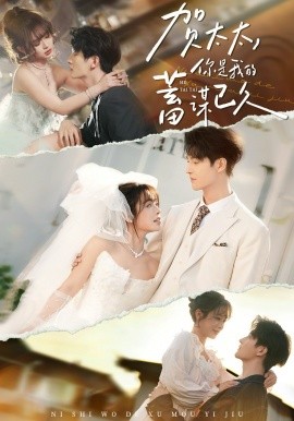 賀太太，你是我的蓄謀已久(全集)