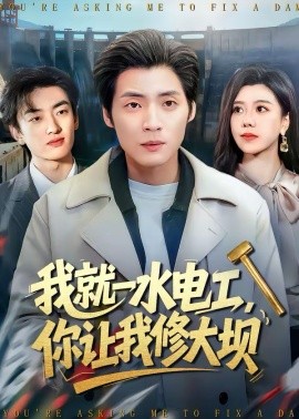 我就一水電工，你讓我修大壩(全集)
