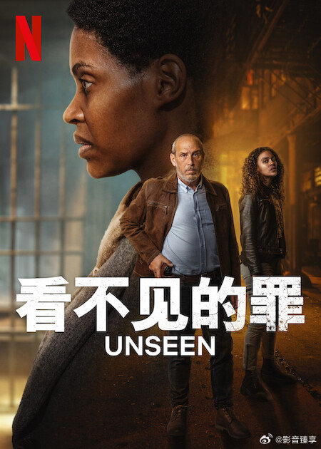 看不見的罪第2季(全集)